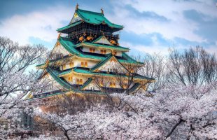Xin visa du lịch Nhật Bản từ Hàn Quốc - Thủ tục và thông tin cần biết