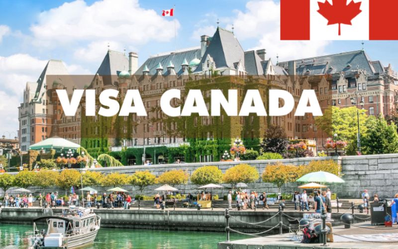 Visa H-1B Canada: Cơ hội cho người lao động có tay nghề cao