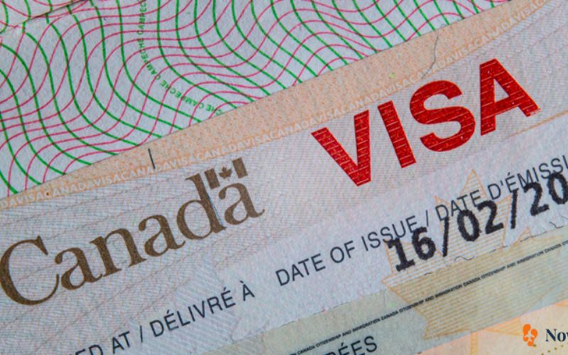 Xem thêm: Visa xuất khẩu Canada miễn phí