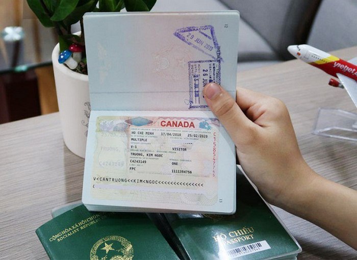 Nếu rớt visa Mỹ thì cơ hội đậu visa Canada vẫn có khả năng